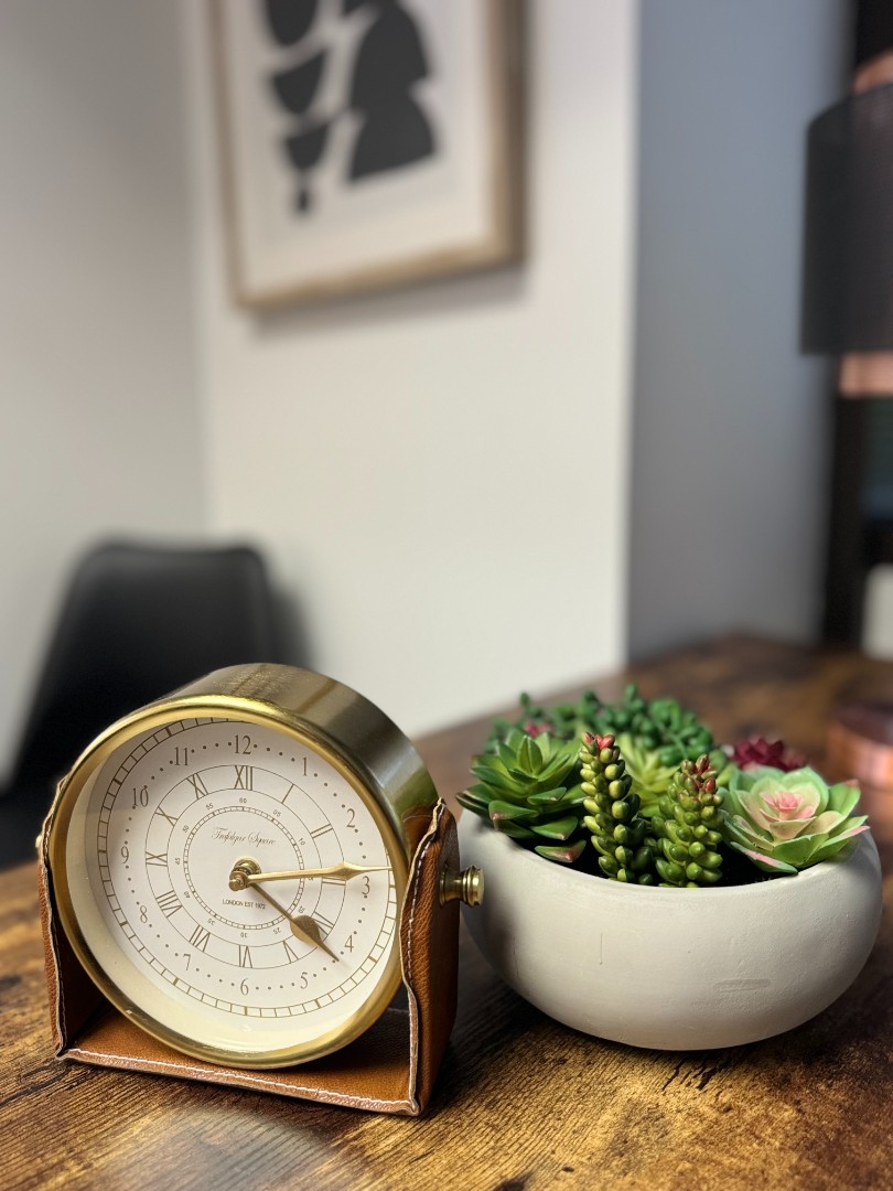 A small potted succulent sitting next to a clock