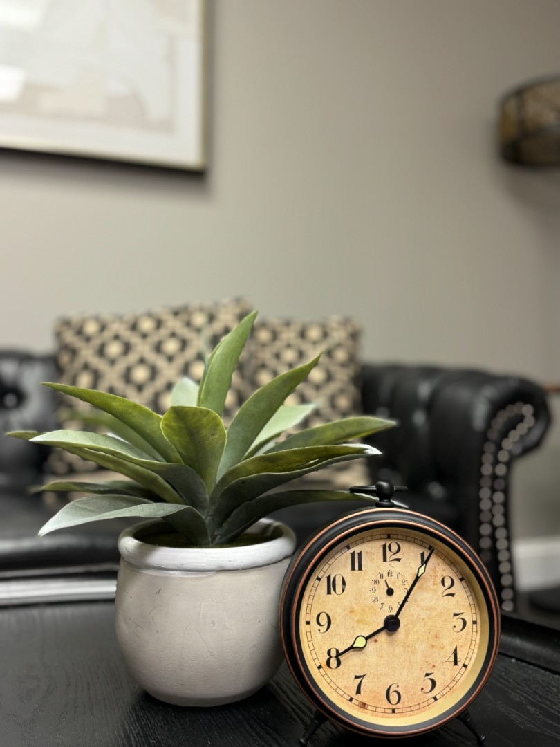 A small potted plant sitting next to a clock